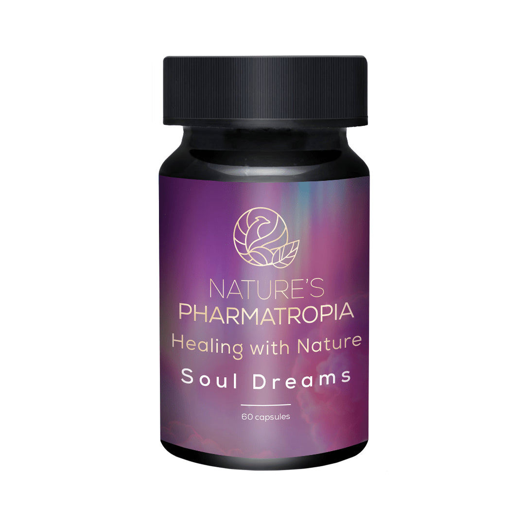 Soul Dreams Capsules (60) African Dream Root, Noya Rao (Tree Of Light)360
