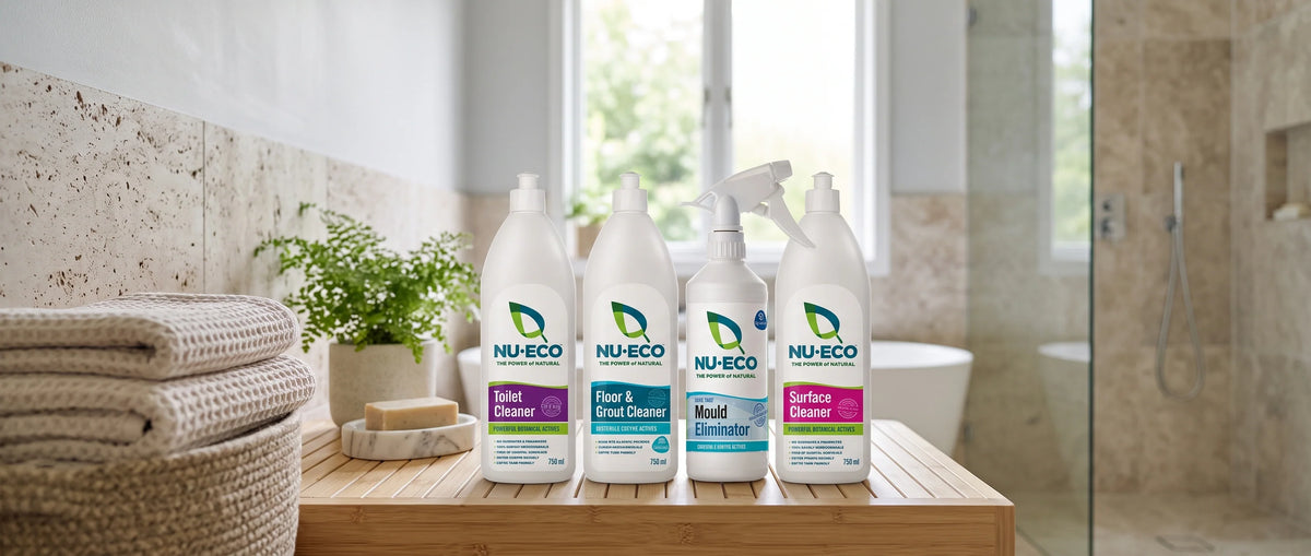 Bathroom Cleaning